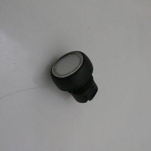 30106189 - SWITCH PUSH BUTTON HEAD 22MM MOMENTARY ILLUMINATED CLEAR FLUSH