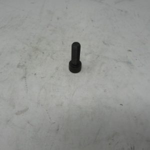 31024450 - FASTENER BOLT M10X1.5 X 30MM SHCS