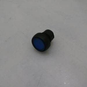 31064561 - SWITCH PUSH BUTTON HEAD 22MM MOMENTARY ILLUMINATED BLUE FLUSH